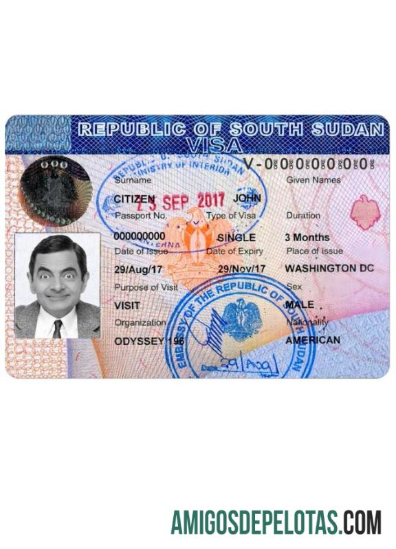 Visto de viagem para o SUDÃO DO SUL exemplo real